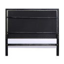 Acme Furniture Nicola Queen Upholstered Panel Bed BD01427Q IMAGE 4