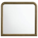 Coaster Furniture Amsbury 224274 Dresser Mirror - Nutmeg IMAGE 2