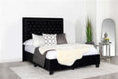 Hailey Black Velvet Upholstered Bed 315925Q-SP