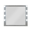 Acme Furniture Sliverfluff BD00245 Mirror with Light IMAGE 2