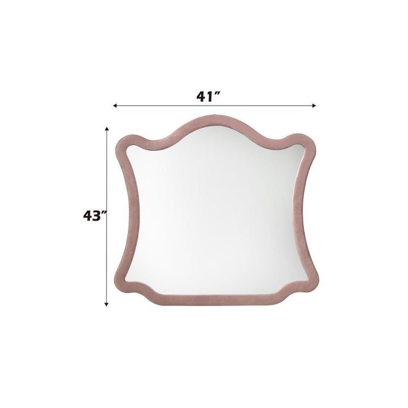 Acme Furniture Salonia BD01185 Mirror IMAGE 4