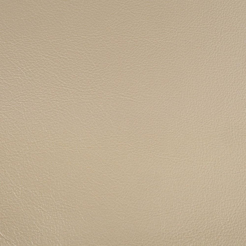 Acme Furniture Danae DN01199 Arm Chair IMAGE 6
