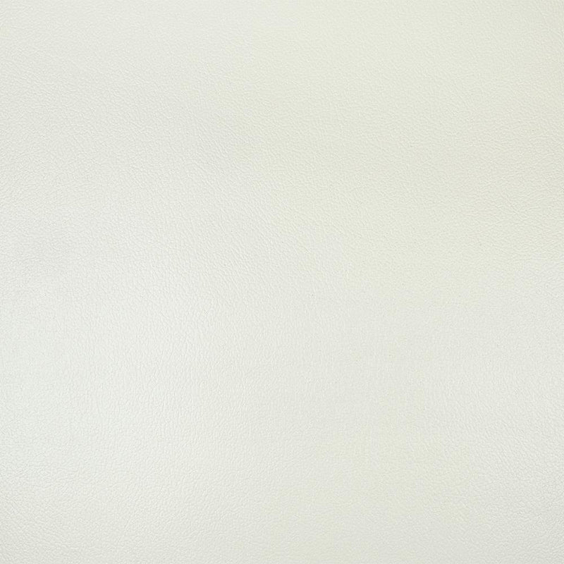 Acme Furniture Adara LV01226 Chair with 2 Pillows IMAGE 6