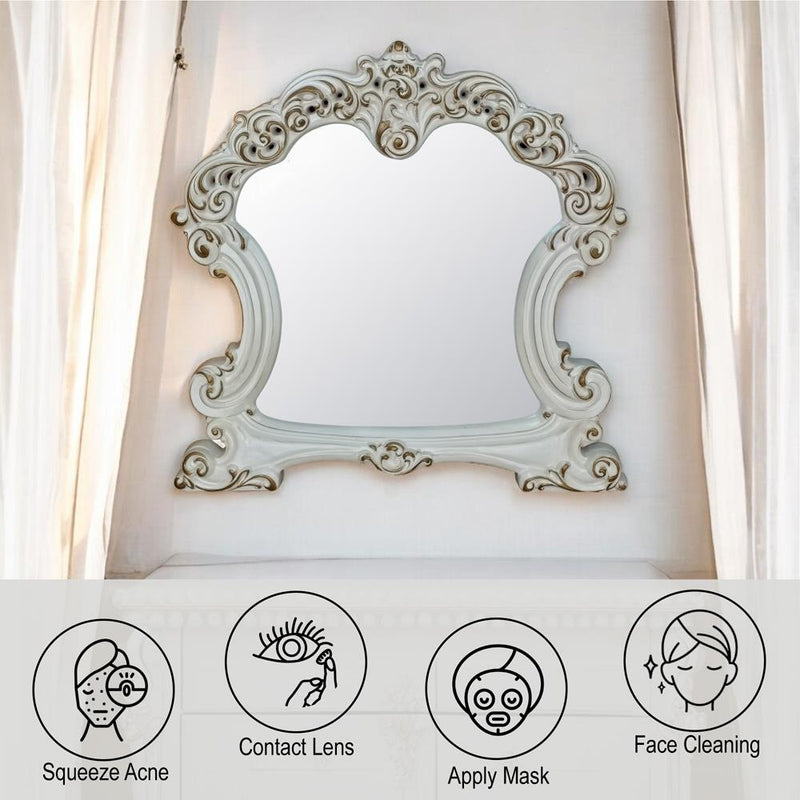 Acme Furniture Vendome BD01341 Mirror IMAGE 5