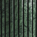 Meridian Genoa Green Coffee Table IMAGE 8