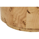 Meridian Burl Natural Ash End Table IMAGE 6