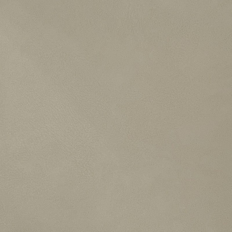 Meridian Gallo Beige Vegan Leather Queen Bed IMAGE 8