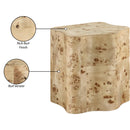 Meridian Zaire Natural Burl Wood End Table IMAGE 7