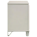 Coaster Furniture Nightstands 2 Drawers 224952 IMAGE 9