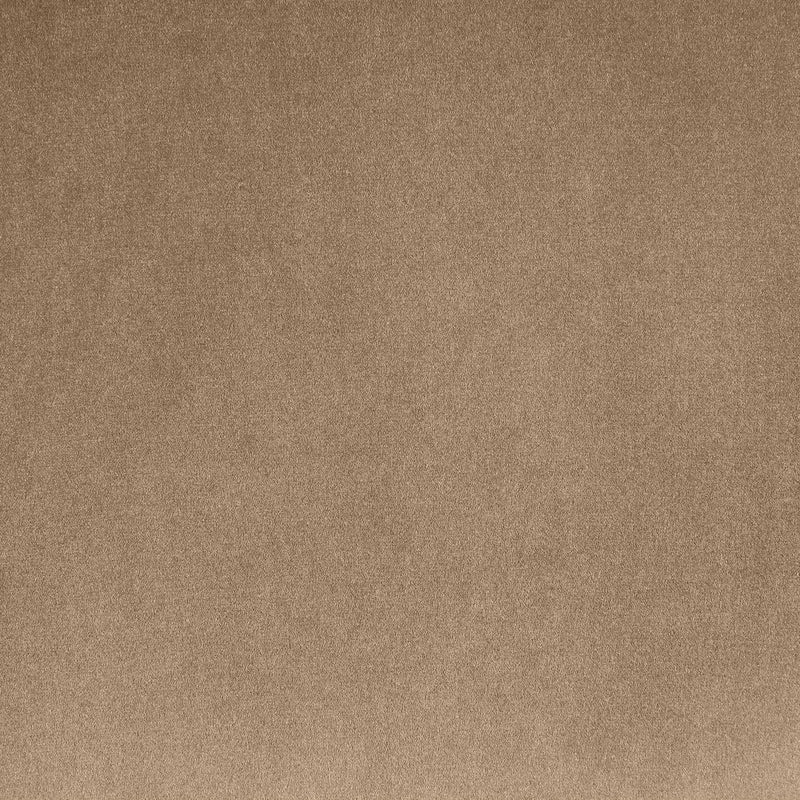 Meridian Emery Beige Velvet Loveseat IMAGE 6