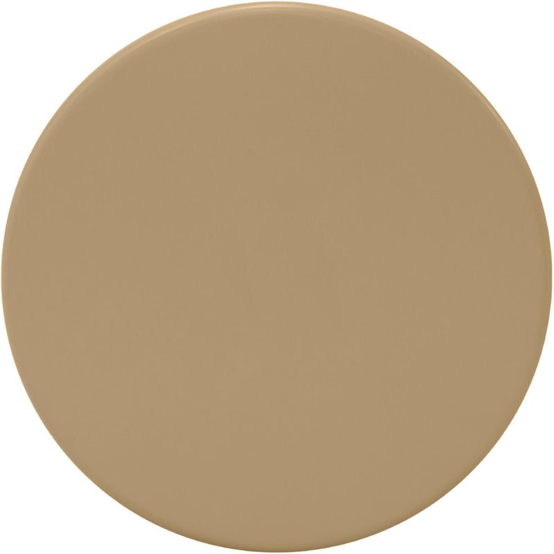 Meridian Anika Brown Iron Side Table IMAGE 4