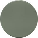 Meridian Anika Green Iron Side Table IMAGE 4