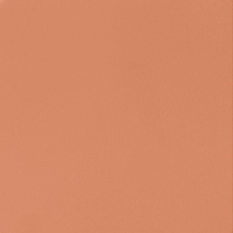 Meridian Anika Salmon Iron Side Table IMAGE 6