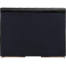 Meridian Amara Black Velvet Queen Bed IMAGE 5