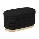 TOV-OC68152 Lillian Black Velvet Storage Bench