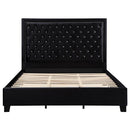 Hailey Black Velvet Upholstered Bed 315925Q-SP