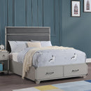Acme Furniture Kids Beds Bed 36130T IMAGE 1