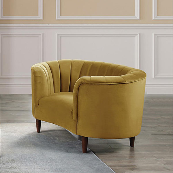 Acme Furniture Millephri Stationary Fabric Chair LV00165 IMAGE 1