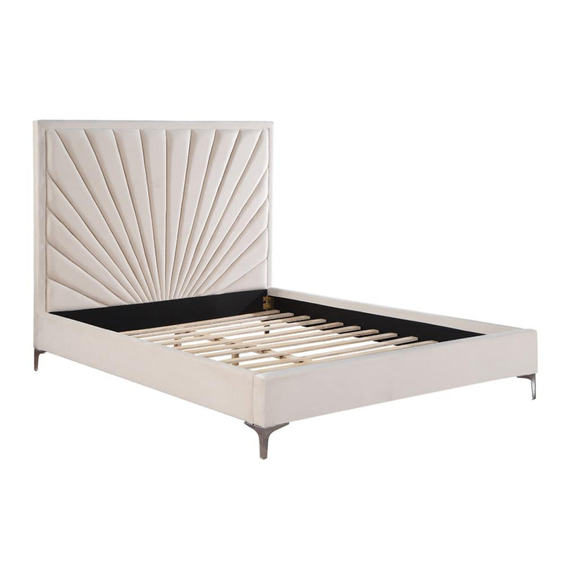 Acme Furniture Faiz Queen Upholstered Panel Bed BD00957Q IMAGE 2