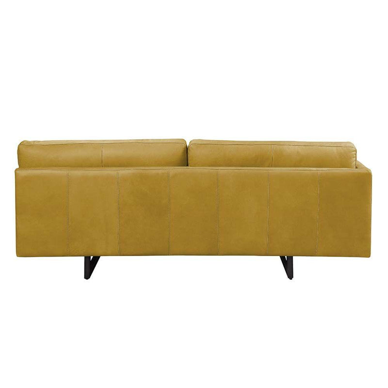 Acme Furniture Radia Stationary Leather Sofa LV01022 IMAGE 4
