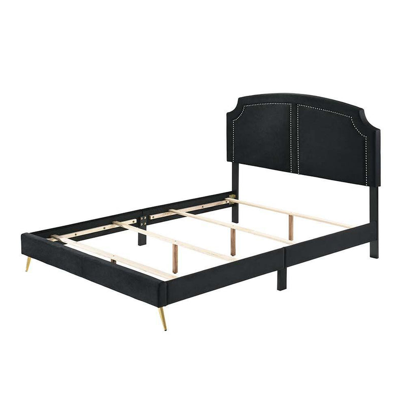 Acme Furniture Zeena Queen Upholstered Panel Bed BD01176Q IMAGE 1
